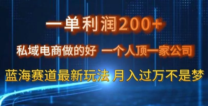 一单利润200私域电商做的好,一个人顶一家公司蓝海赛道最新玩法【揭秘】