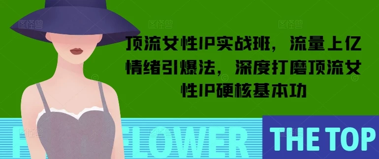 顶流女性IP实战班,流量上亿情绪引爆法,深度打磨顶流女性IP硬核基本功