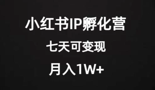 价值2000+的小红书IP孵化营项目,超级大蓝海,七天即可开始变现,稳定月入1W+