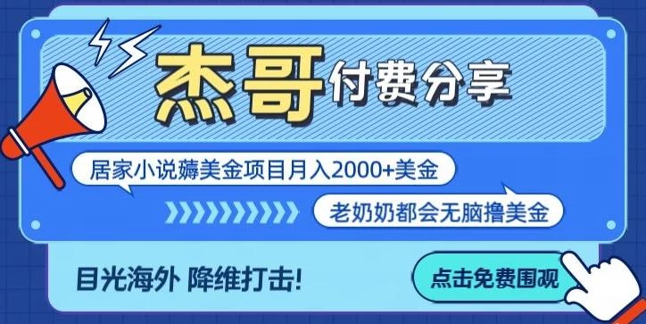 拆解海外撸美金项目月入2000美刀详细指导