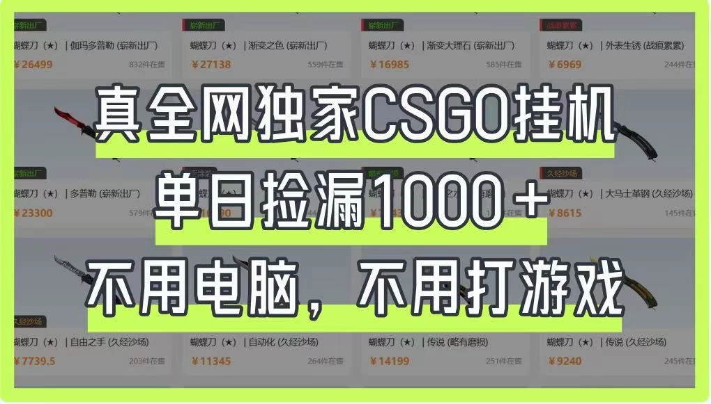 真全网独家CSGO挂机,单日捡漏1000+,不用电脑,不用养号