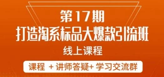 南掌柜-第17期打造淘系标品大爆款,5天线上课