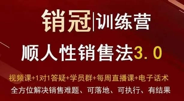 爆款!销冠训练营3.0之顺人性销售法,全方位解决销售难题、可落地、可执行、有结果