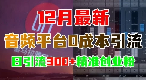 12月最新:音频平台0成本引流,日引流300+精准创业粉
