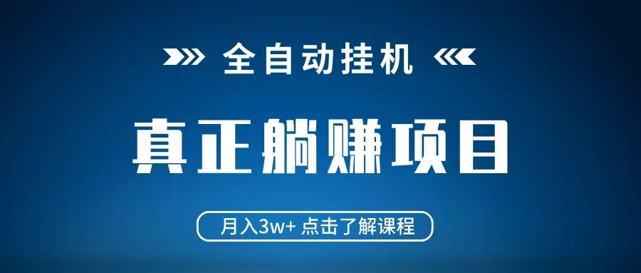 全自动挂机项目 月入3w+ 真正躺平项目 不吃电脑配置 当天见收益
