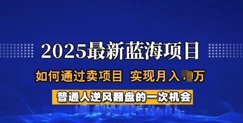 2025蓝海项目,普通人如何通过卖项目,实现月入过W,全过程【揭秘】