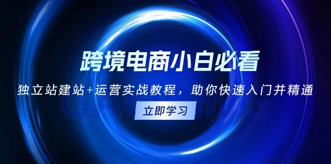 跨境电商小白必看！独立站建站+运营实战教程，助你快速入门并精通