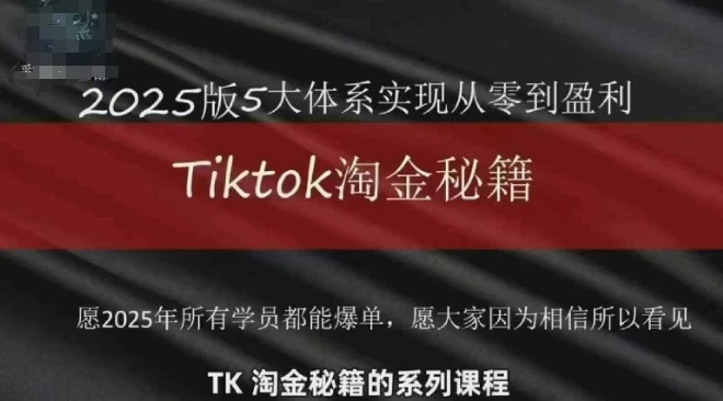 TikTok跨境2025淘金秘籍,2025TikTok从0到盈利变现
