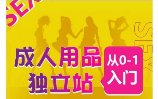 成人用品独立站从0-1入门,成品独立站运营全流程教学,七大好卖成品独立站推荐