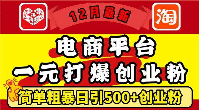 12月最新:电商平台1元打爆创业粉,简单粗暴日引500+精准创业粉,轻松月入过W【揭秘】