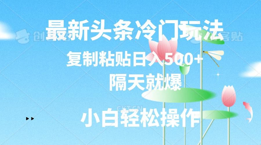 最新头条冷门玩法,隔天就爆,复制粘贴日入500+