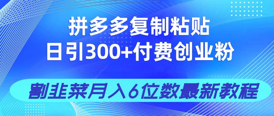 拼多多复制粘贴日引300+付费创业粉,割韭菜月入6位数最新教程!