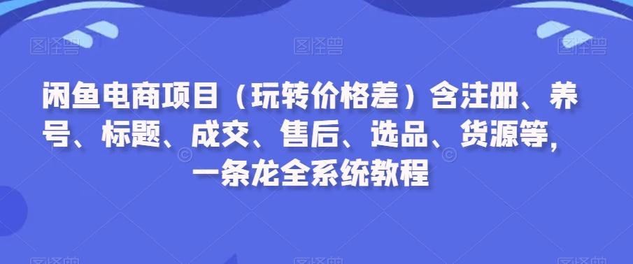 闲鱼电商项目(玩转价格差)含注册、养号、标题、成交、售后、选品、货源等,一条龙全系统教程
