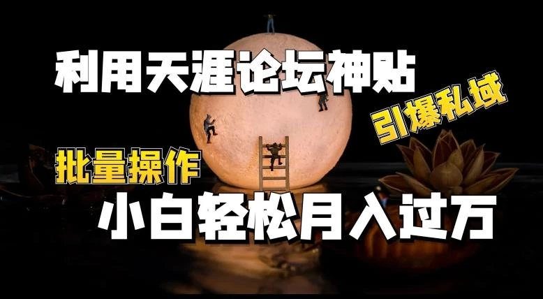 利用天涯论坛神贴,引爆私域,批量操作,小白轻松月入过w【揭秘】