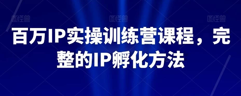 百万IP实操训练营课程,完整的IP孵化方法