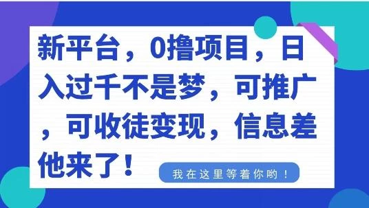 不要再花冤枉钱了,0撸项目,每天坚持,稳定1000+
