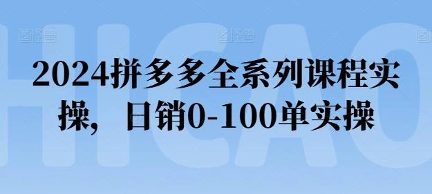 2024拼多多全系列课程实操,日销0-100单实操【必看】