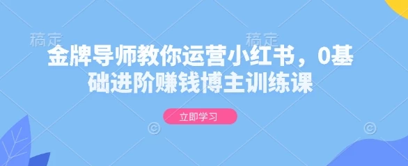 金牌导师教你运营小红书,0基础进阶赚钱博主训练课