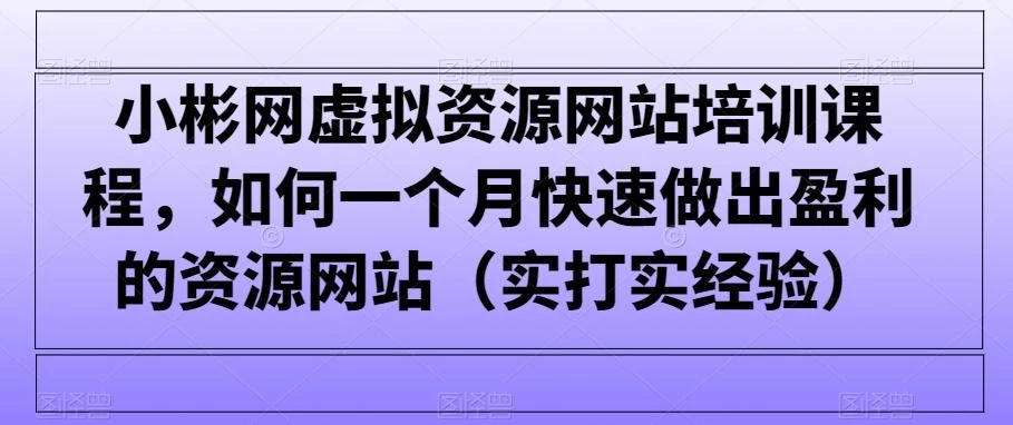 小彬网虚拟资源网站培训课程，如何一个月快速做出盈利的资源网站(实打实经验)