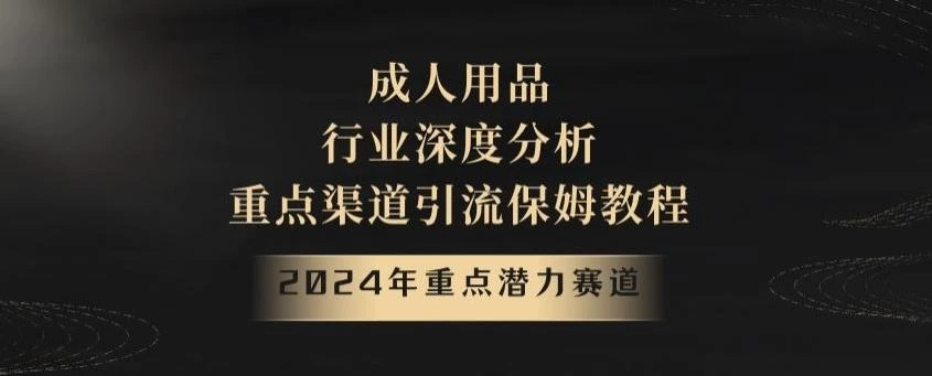 2024年重点潜力赛道,成人用品行业深度分析,重点渠道引流保姆教程【揭秘】