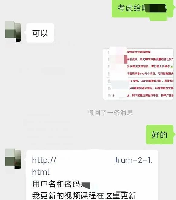 小彬网虚拟资源网站培训课程，如何一个月快速做出盈利的资源网站(实打实经验)