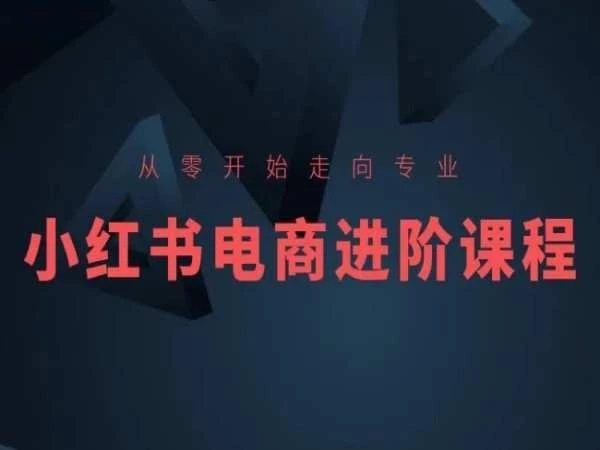 从零开始走向专业,小红书电商进阶课程