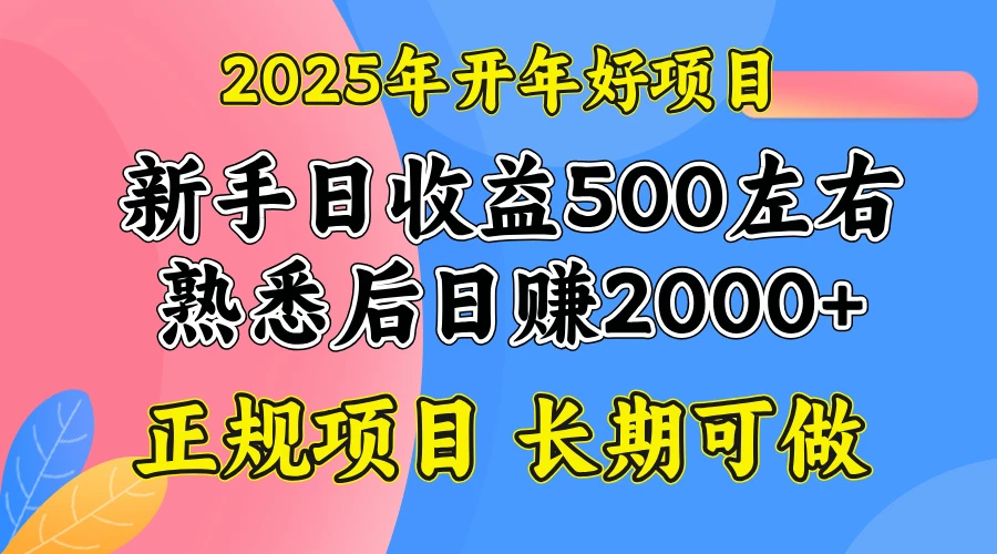 2025开年好项目,单号日收益2000左右