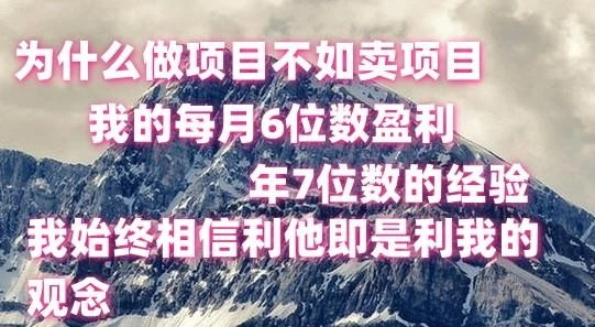 做项目不如卖项目,每月6位数盈利,年7位数经验
