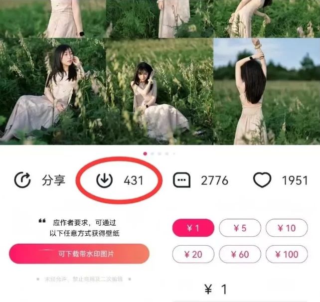 最新图虫搬运项目,收益无上限,利用AI小白也可日赚500+