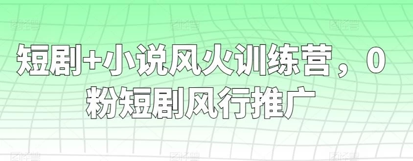 短剧+小说风火训练营，0粉短剧风行推广