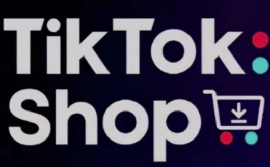 TikTokShop跨境电商0-1实战,手把手教你低成本启动海外市场
