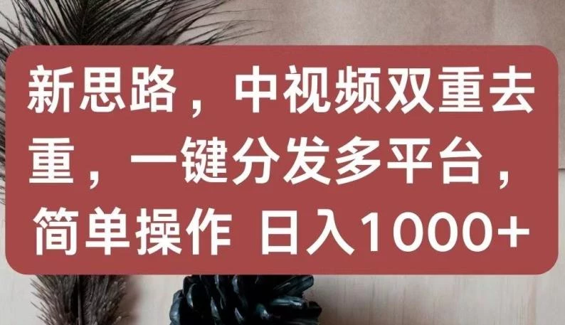 新思路,中视频双重去重,一键分发多平台,简单操作,日入1000+【揭秘】