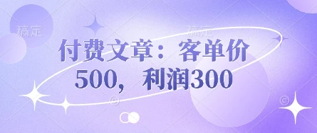 付费文章:客单价500,利润300