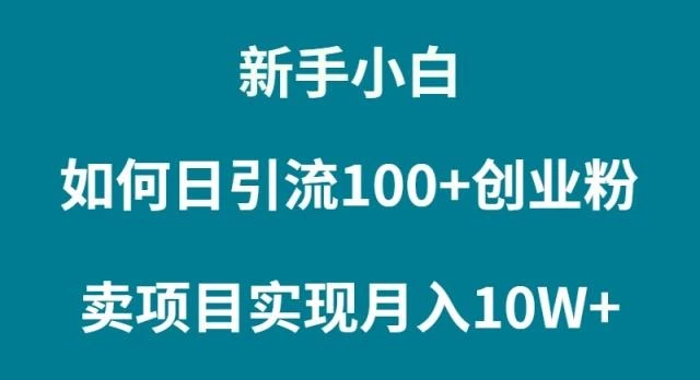 (9556期)新手小白如何通过卖项目实现月入10W+