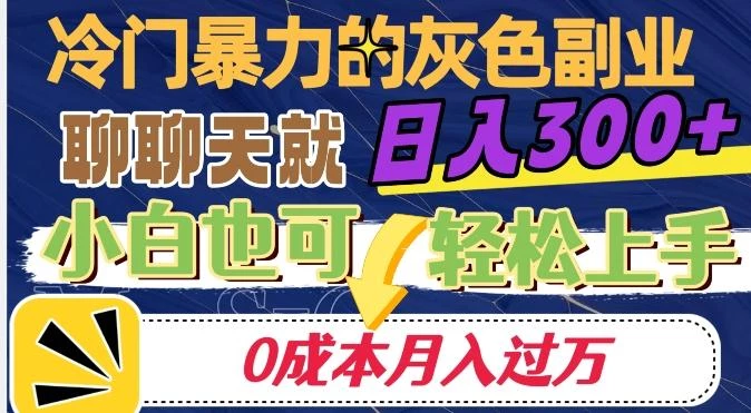 冷门暴利的副业项目,聊聊天就能日入300+,0成本月入过万【揭秘】