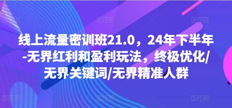 线上流量密训班21.0,24年下半年-无界红利和盈利玩法,终极优化/无界关键词/无界精准人群