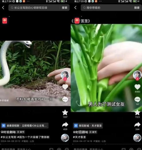 墨竹老师·从0基础到AI高手(第二期)