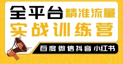 全平台精准流量实战训练营,百度微信抖音小红书SEO引流教程