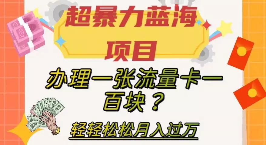 超暴力蓝海项目，办理一张流量卡一百块？轻轻松松月入过万，保姆级教程【揭秘】