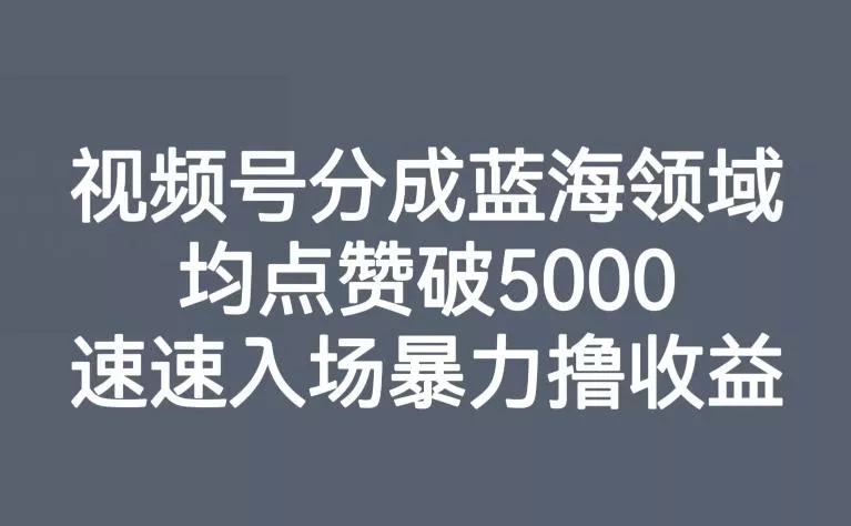 视频号分成蓝海领域，均点赞破5000，速速入场暴力撸收益