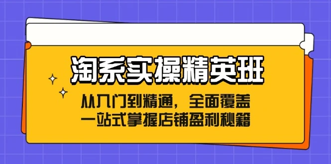 淘系实操精英班:从入门到精通,全面覆盖,一站式掌握店铺盈利秘籍