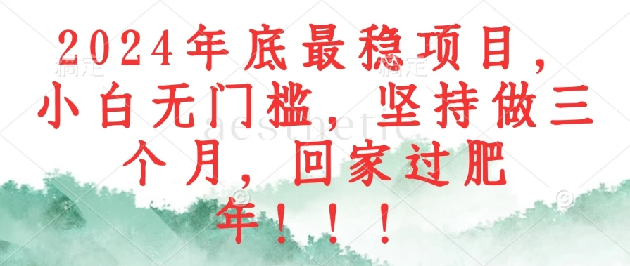 2024年底最稳项目,小白无门槛,坚持做三个月,回家过肥年!!!