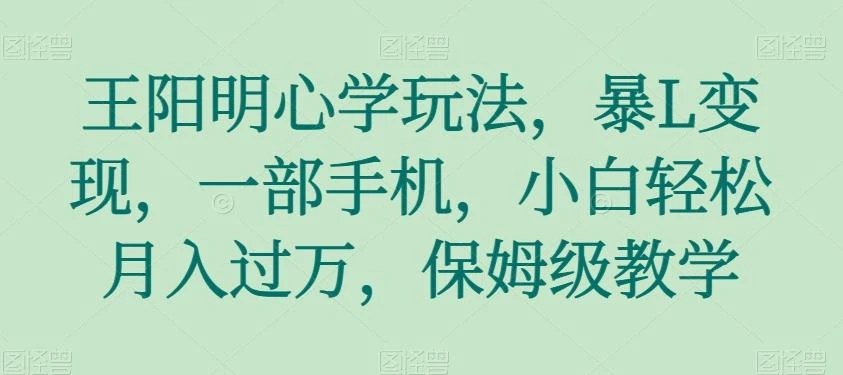 王阳明心学玩法,暴L变现,一部手机,小白轻松月入过万,保姆级教学【揭秘】