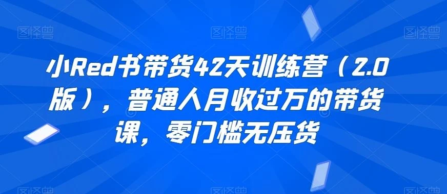 小Red书带货42天训练营(2.0版)，普通人月收过万的带货课，零门槛无压货