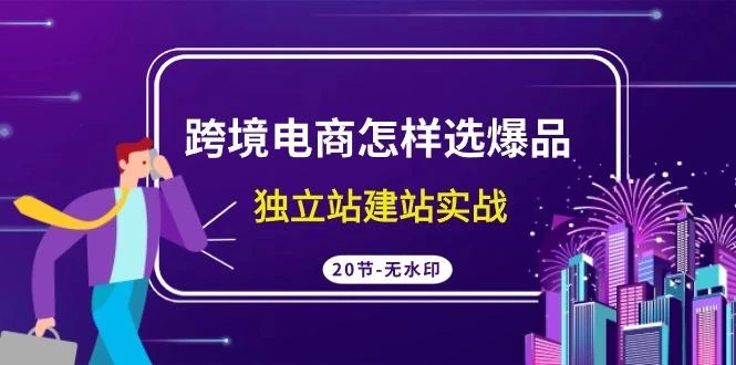 (9369期)跨境电商怎样选爆品,独立站建站实战(20节高清无水印课)