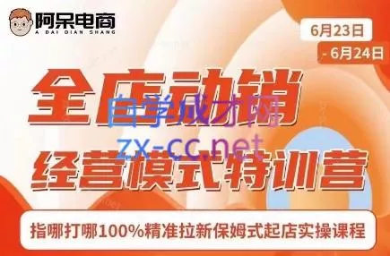 阿呆电商·全店动销经营模式特训营(线下录音+思维导图)