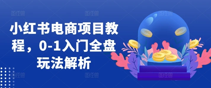 小红书电商项目教程,0-1入门全盘玩法解析