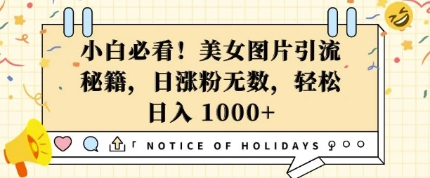 小白必看,美女图片引流秘籍,日涨粉无数,轻松日入几张【揭秘】