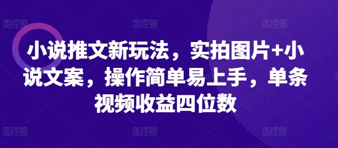 小说推文新玩法,实拍图片+小说文案,操作简单易上手,单条视频收益四位数