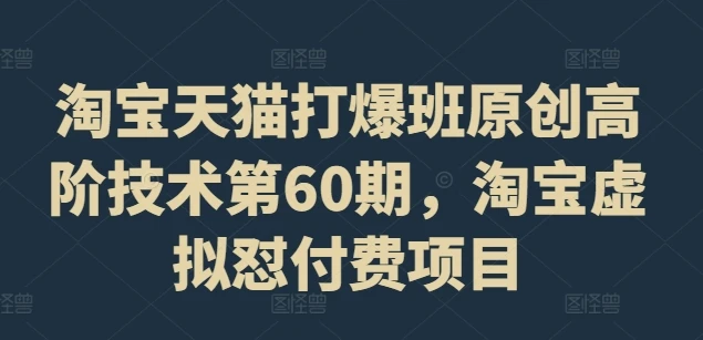 淘宝天猫打爆班原创高阶技术第60期,淘宝虚拟怼付费项目